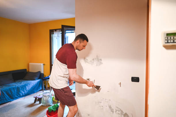 Best Home Mold Removal  in Granby, MO